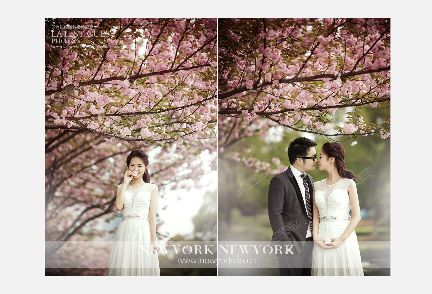 Mr.夏 & Ms.卢（纽约VIP尊荣馆）婚纱摄影照