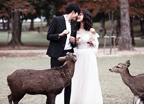 奈良婚纱摄影照