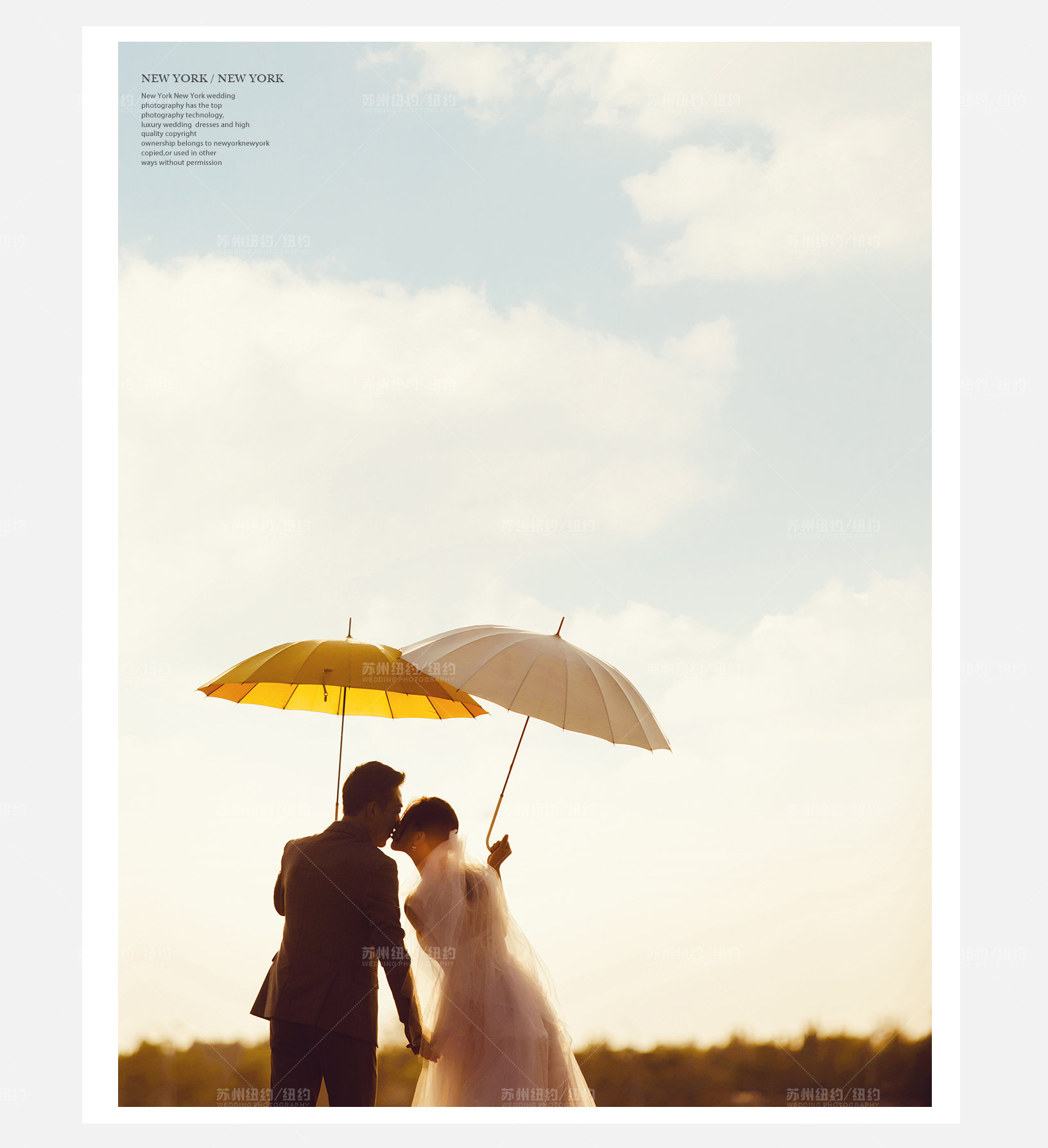 Mr.任 & Ms.邵（纽约纽约最新客照）婚纱摄影照