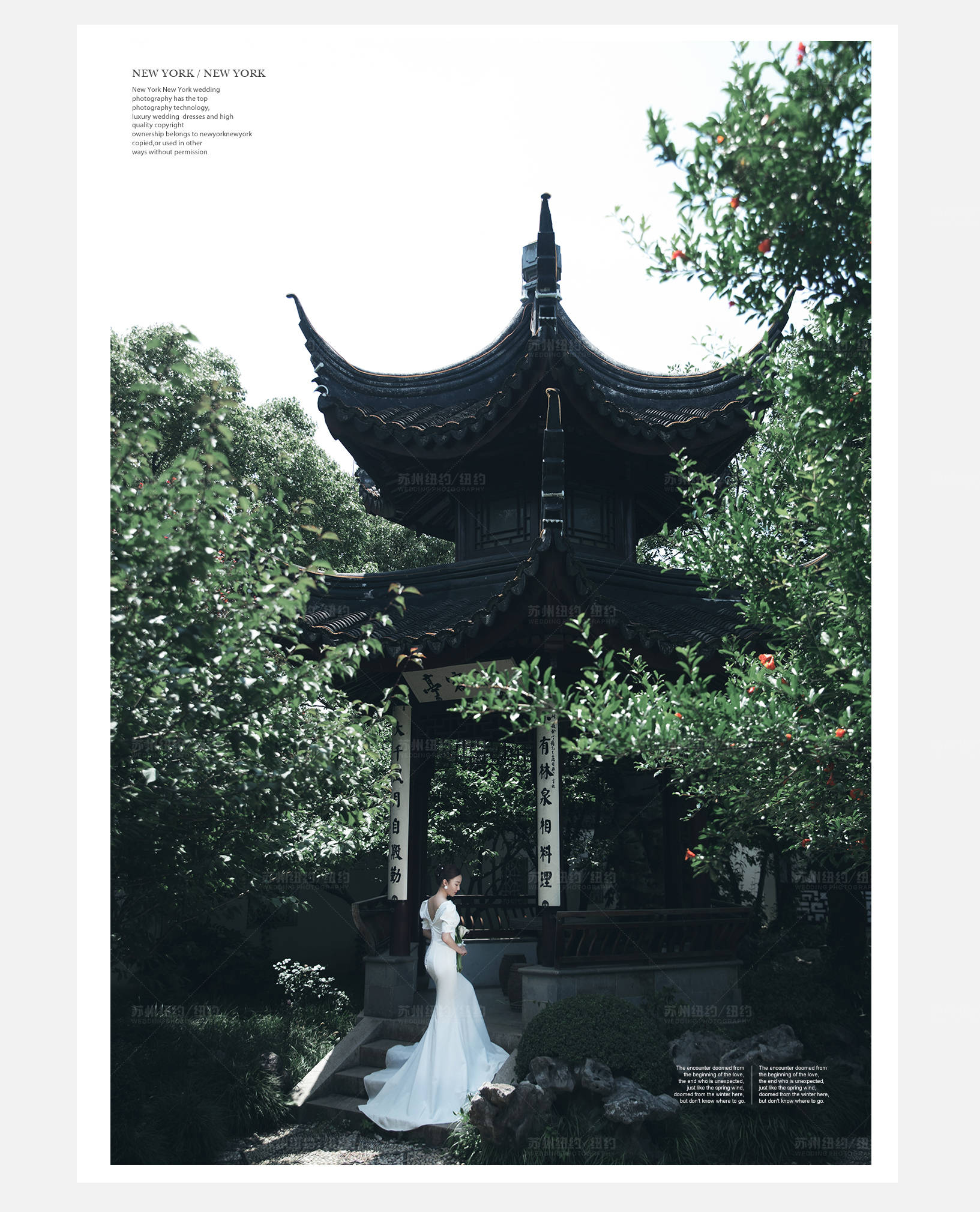 Mr.杨 & Ms.杨（纽约纽约最新客照）婚纱摄影照
